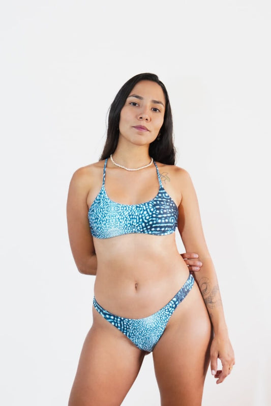 Bikini Tiburón Ballena