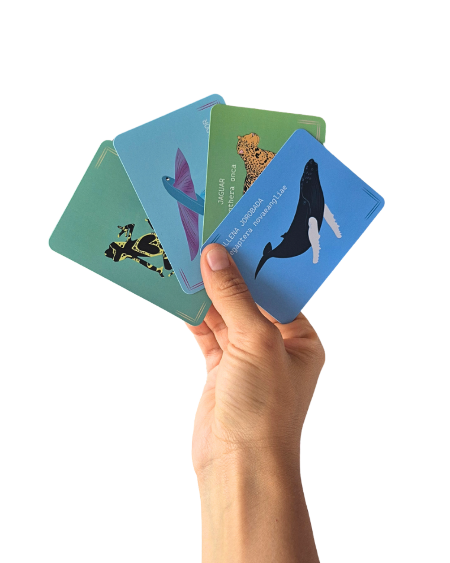 Juego de memoria